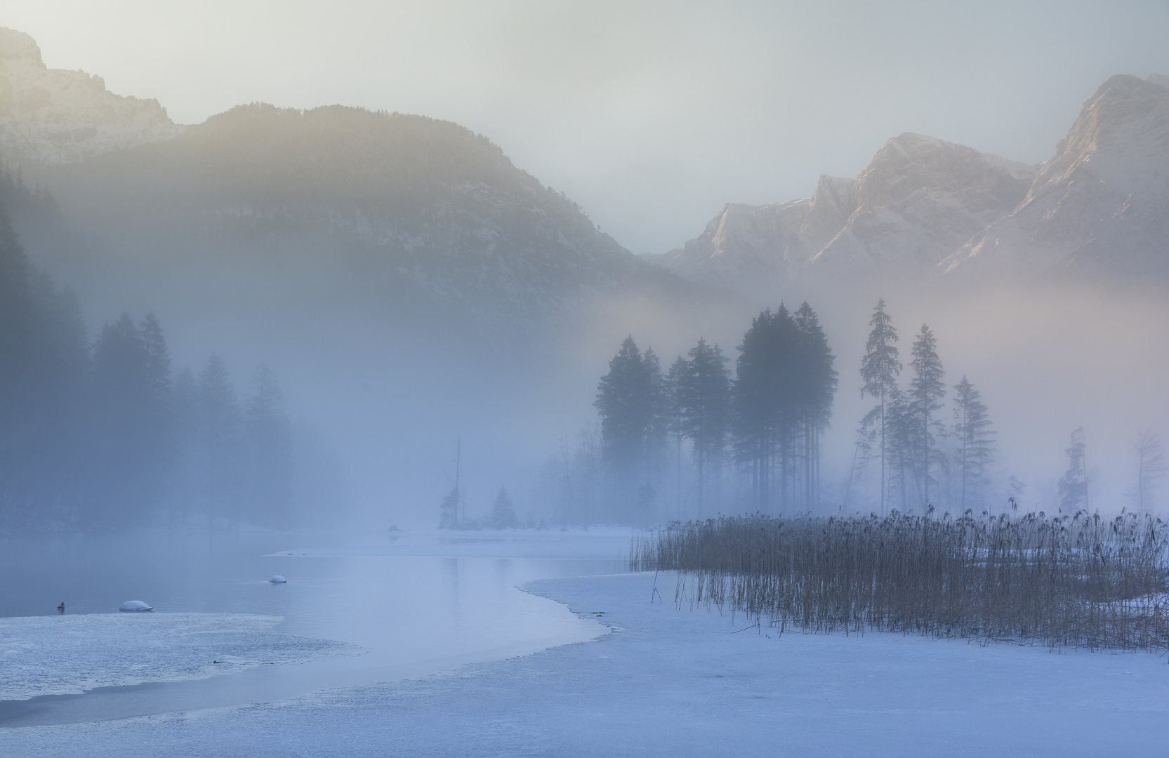 Sonne gegen Nebel