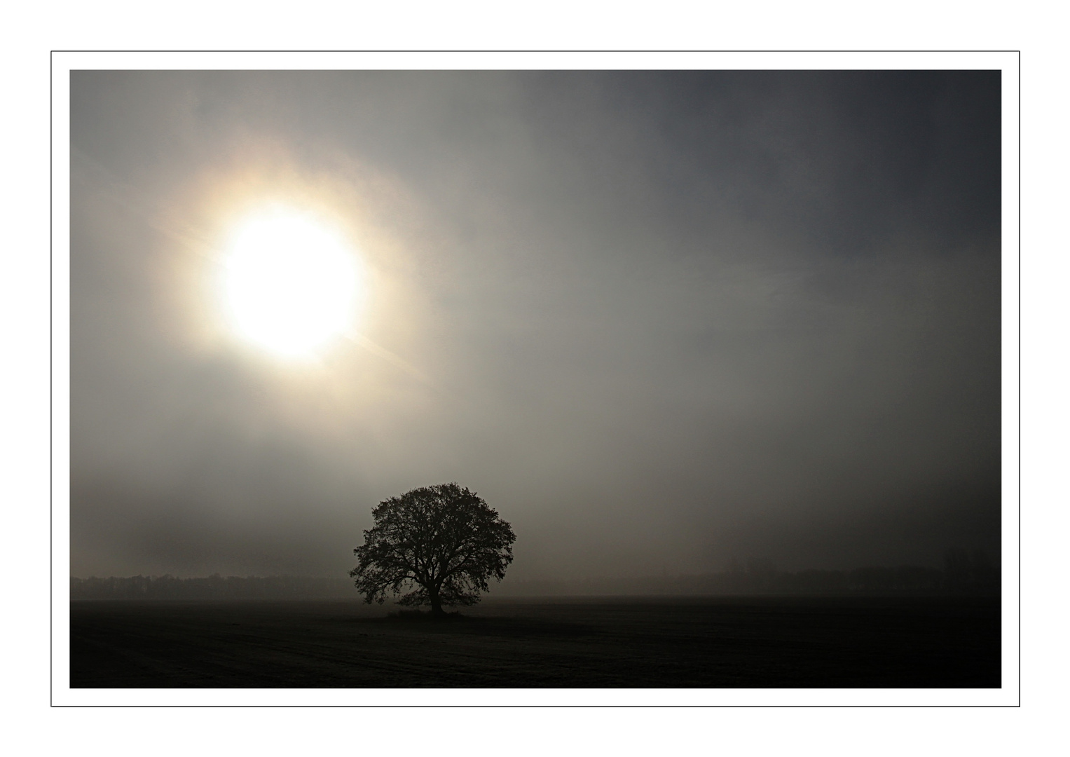 Sonne gegen Nebel