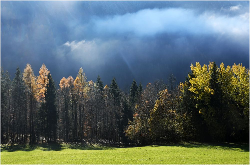 Sonne gegen Nebel