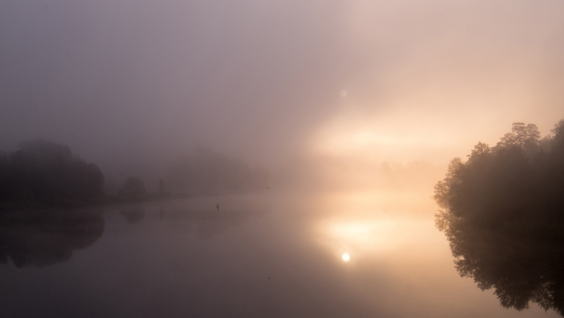 Sonne gegen Nebel.