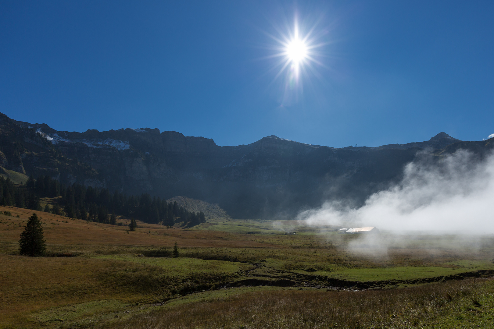 Sonne gegen Nebel