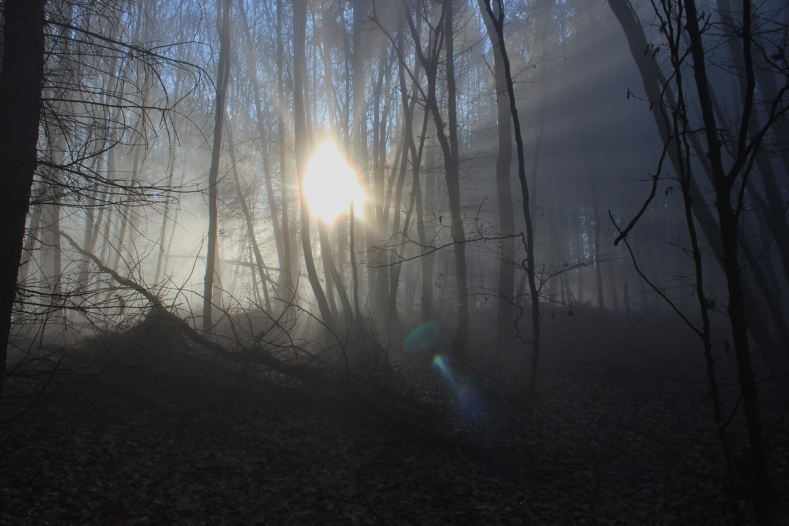 Sonne gegen Nebel, ... nur einer gewinnt