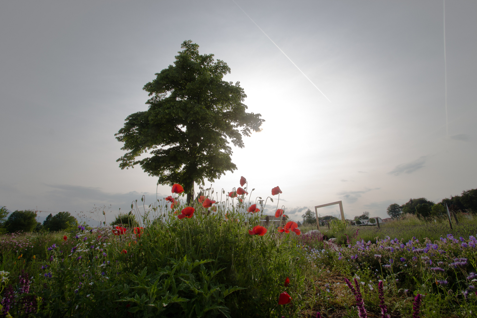 Sonne gegen Wolken