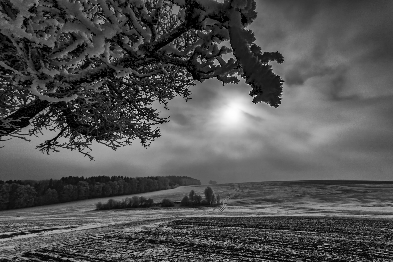 Sonne Gegenlicht im Winter, Laiz bei Sigmaringen