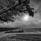 Sonne Gegenlicht im Winter, Laiz bei Sigmaringen