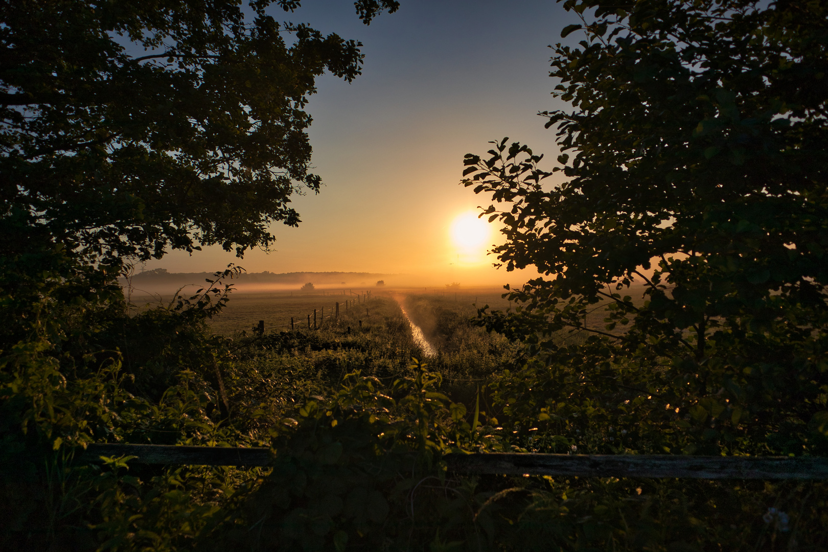 Sonne geht auf im Nebel 03