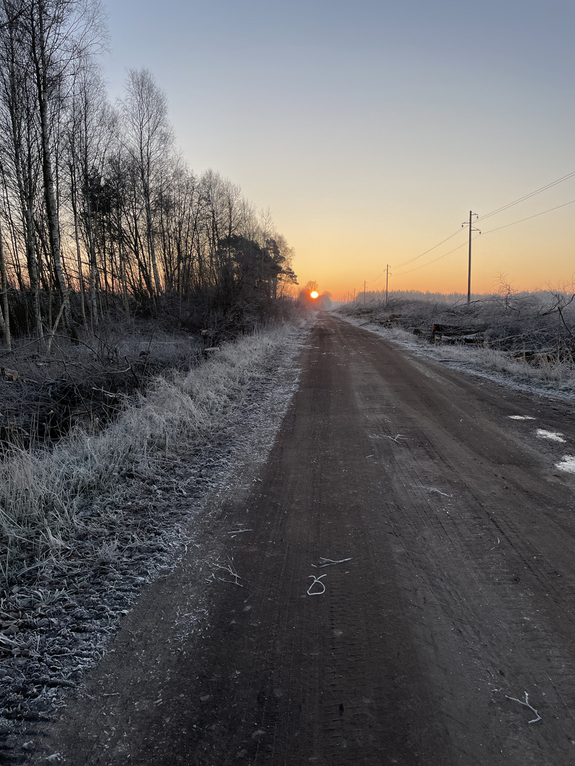 Sonne - genau am Ende des Weges 