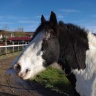 Sonne genießen