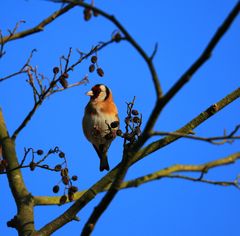 Sonne genießen