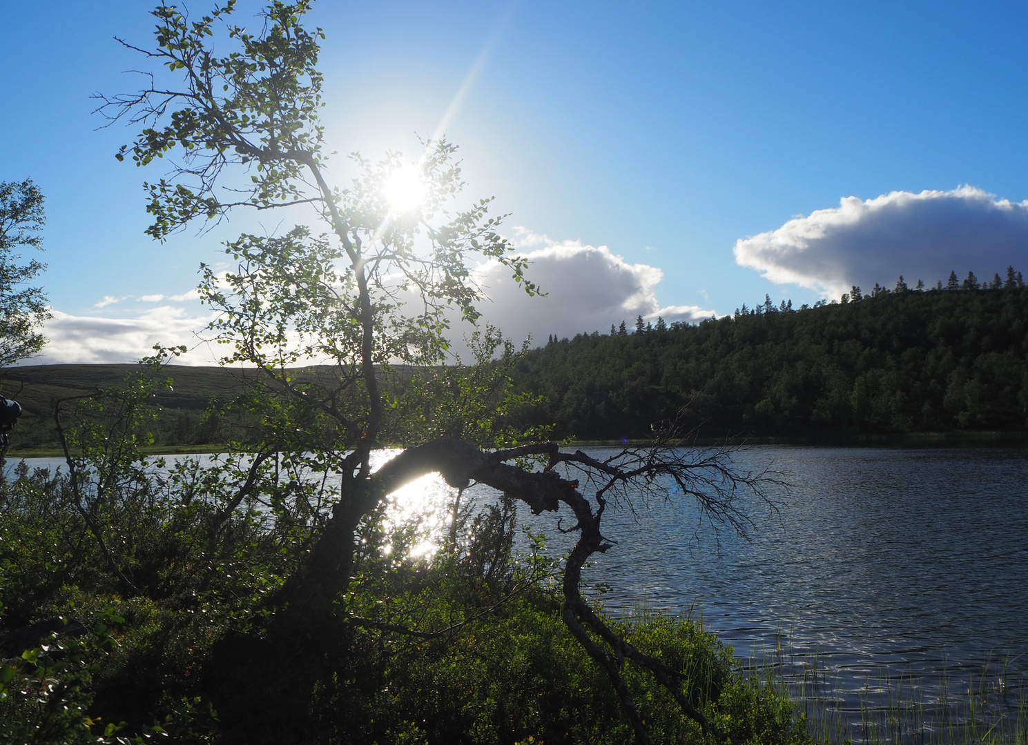 Sonne genießen