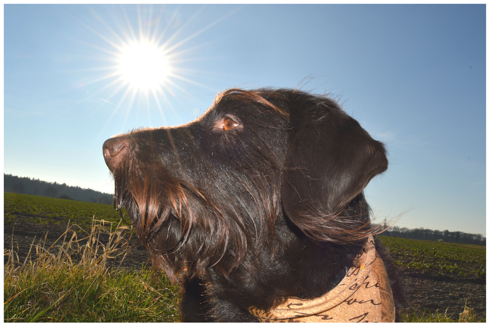 Sonne genießen.