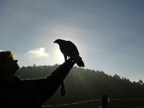 Sonne genießen solange sie scheint