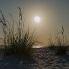 Sonne, Gras und Strand