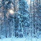 Sonne grüßt Schnee