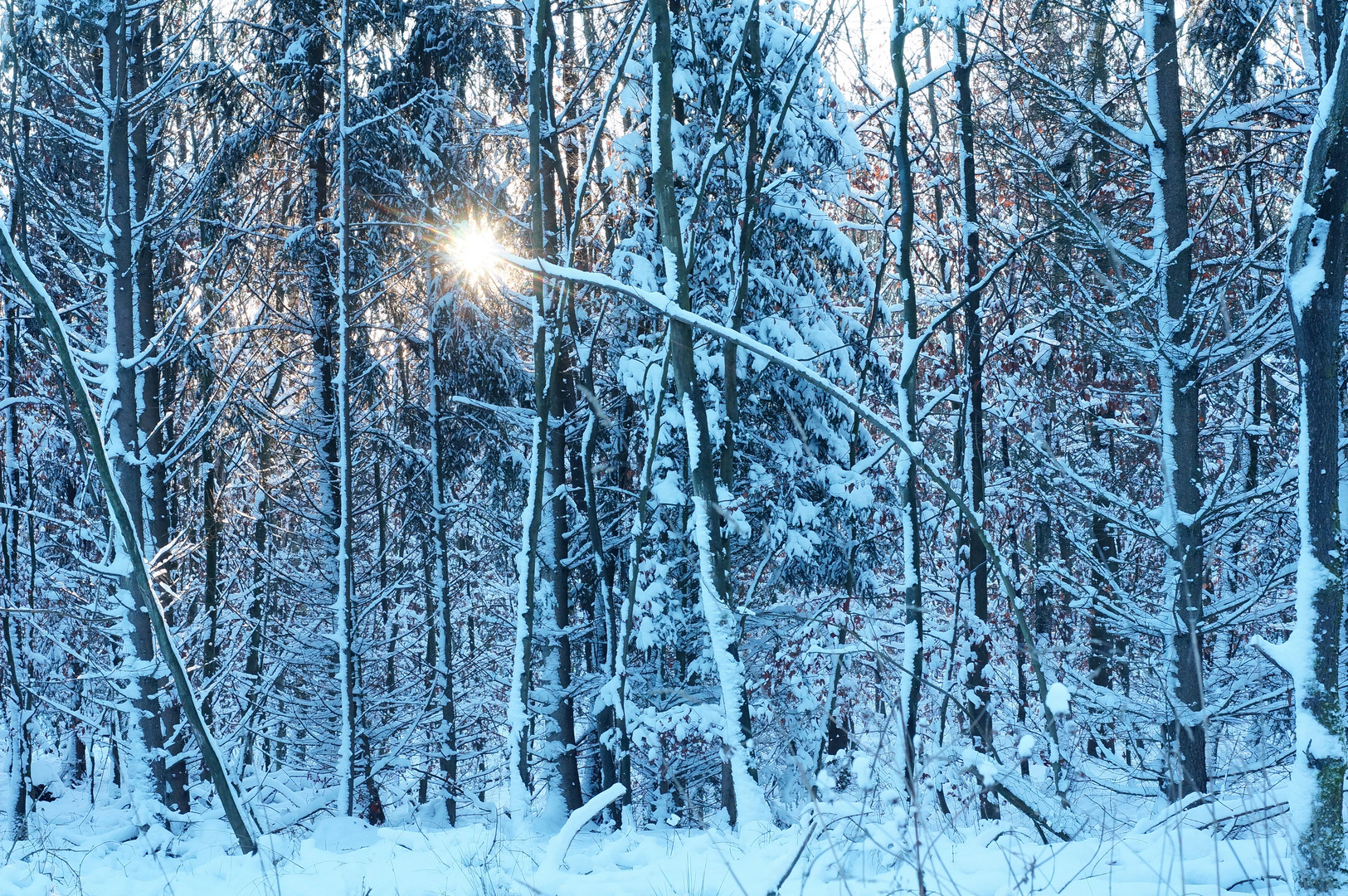 Sonne grüßt Schnee