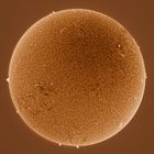 Sonne / H-Alpha / 28.04.2022 (invers)