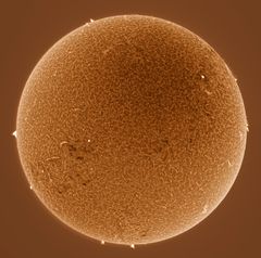 Sonne / H-Alpha / 28.04.2022 (invers)