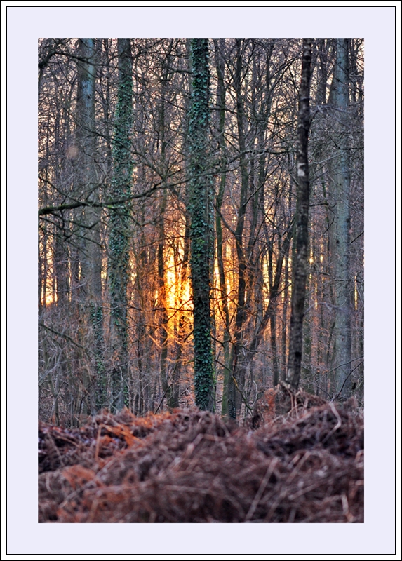 Sonne haucht ihr letztes Licht