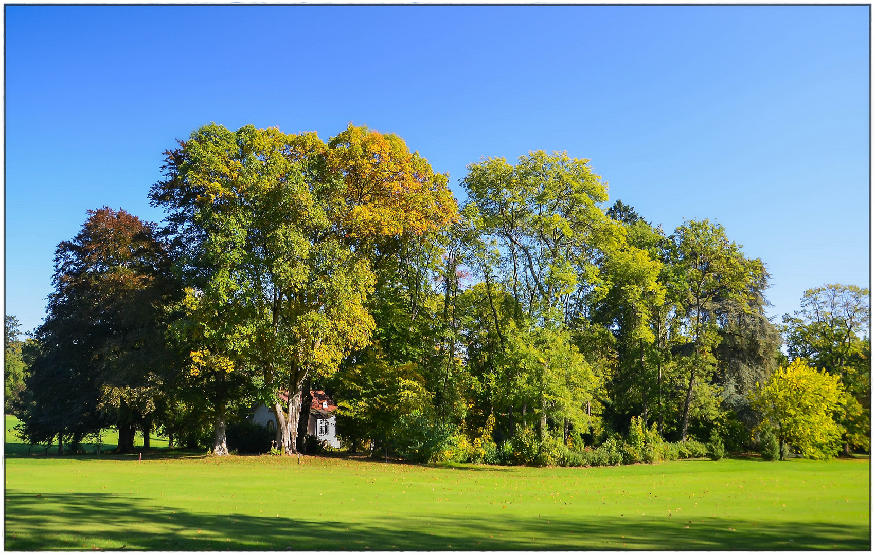 Sonne + Herbst, ...