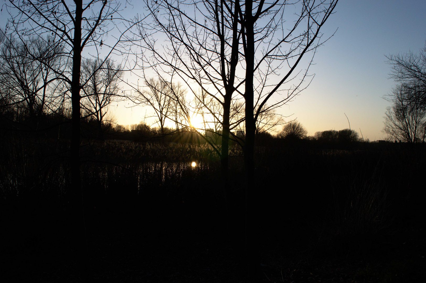 Sonne hinter Bäumen