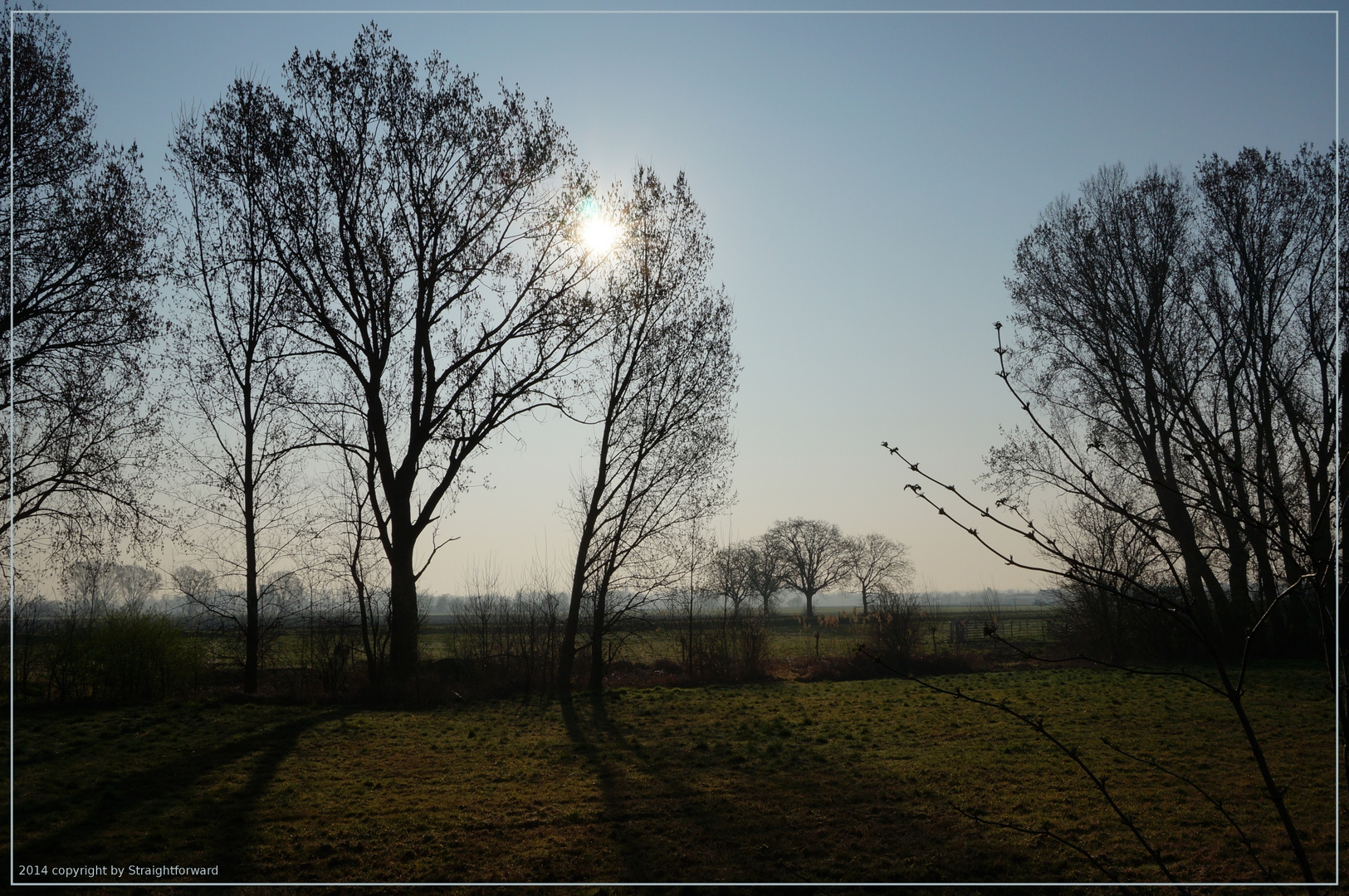 Sonne hinter Bäumen