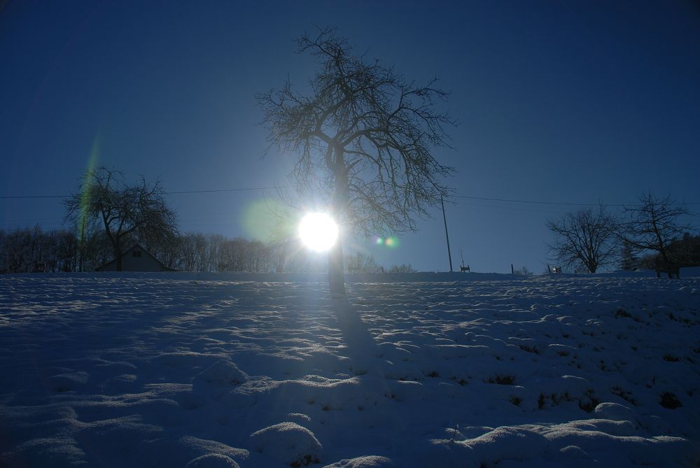 Sonne hinter Baum