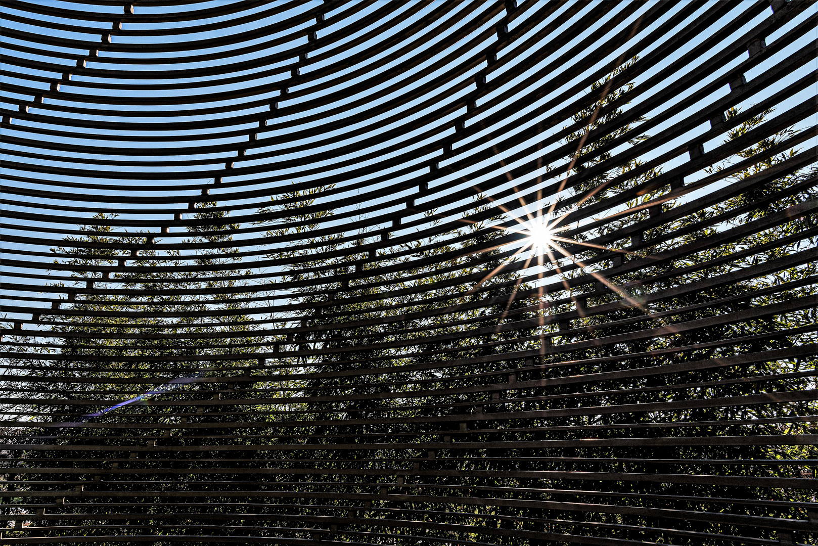 Sonne hinter Gittern