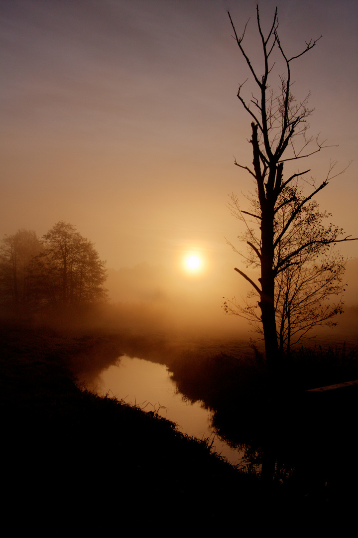 Sonne hinter Nebel