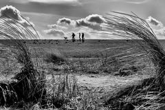 Sonne, Hund, Wolken und Strand