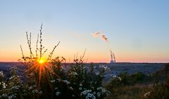 Sonne I Blumen