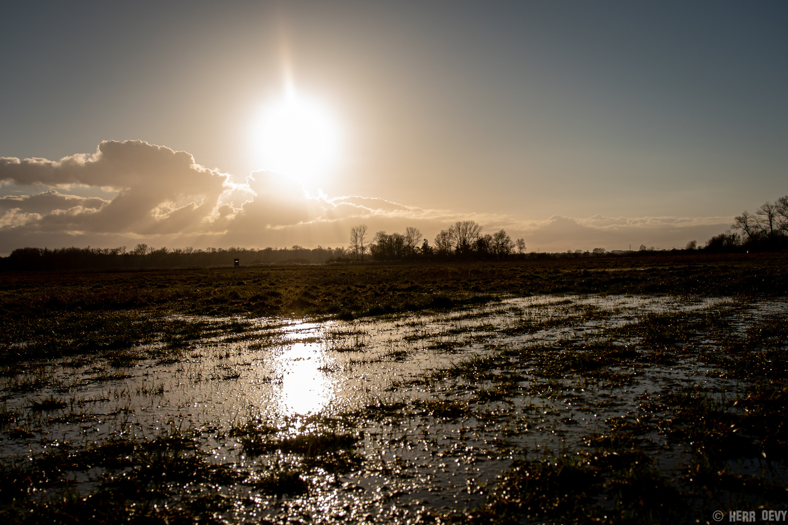 Sonne im Bruch