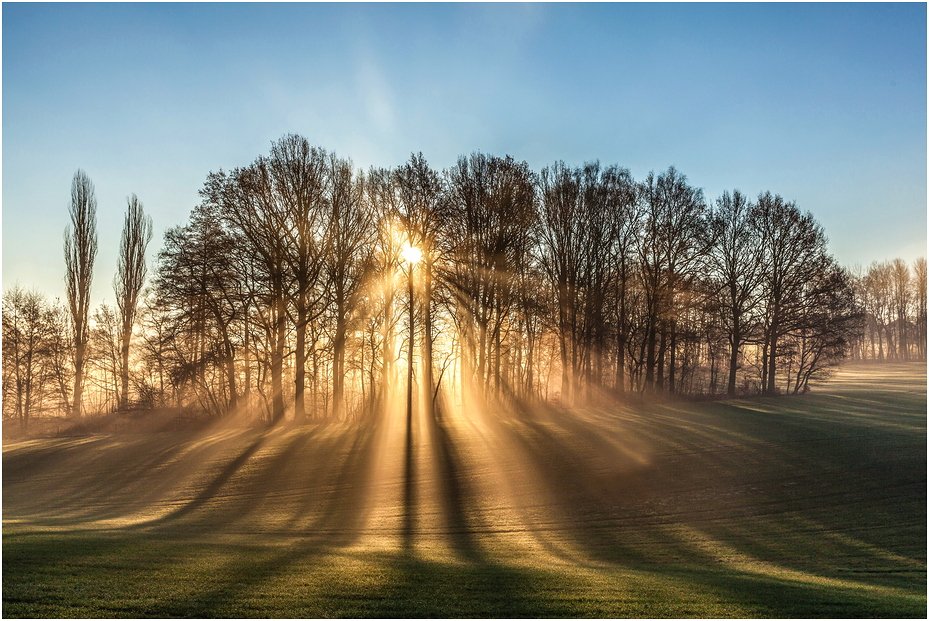 Sonne im Dezember