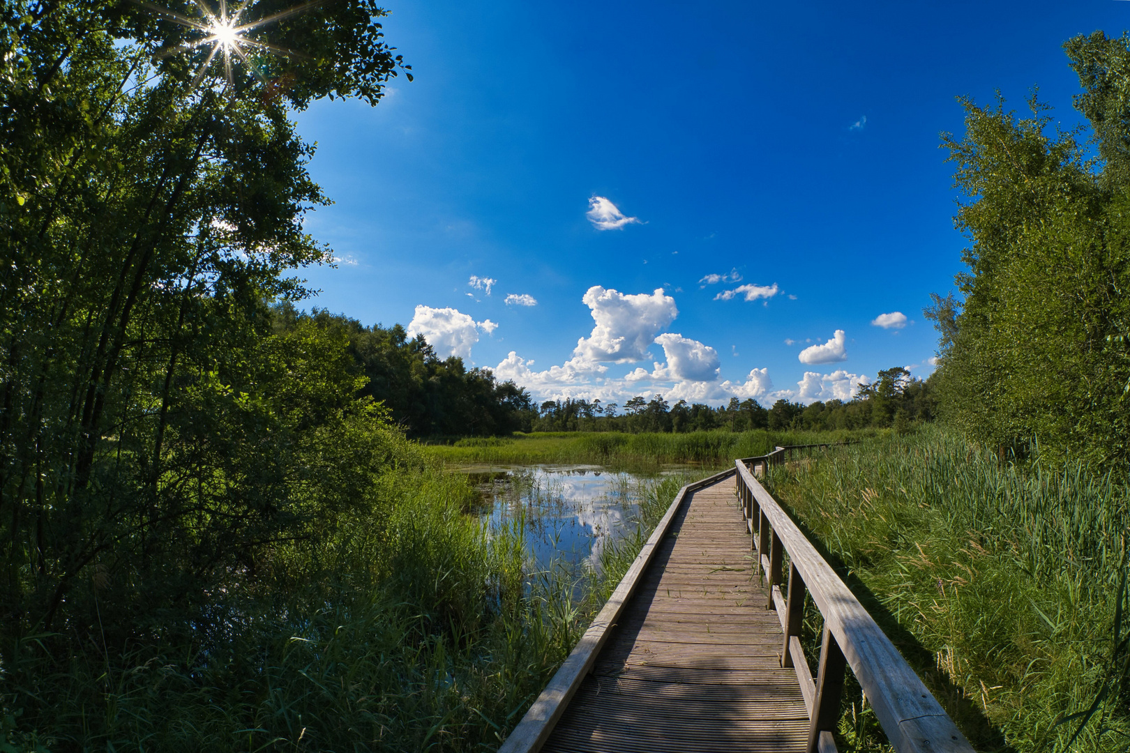 Sonne im Fisheye