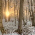 Sonne im frostigen Winterwald