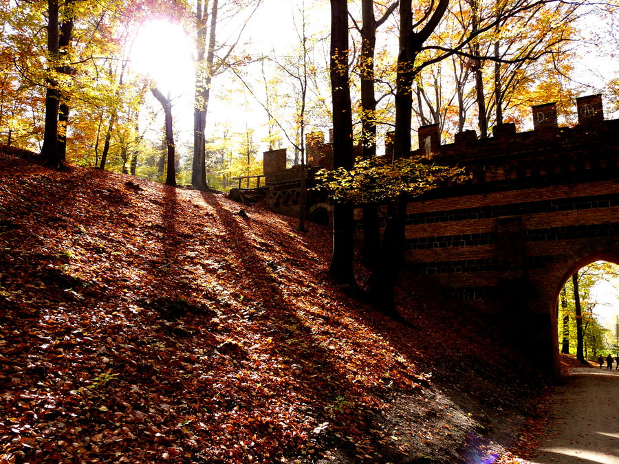 Sonne im Fürst Pückler Park