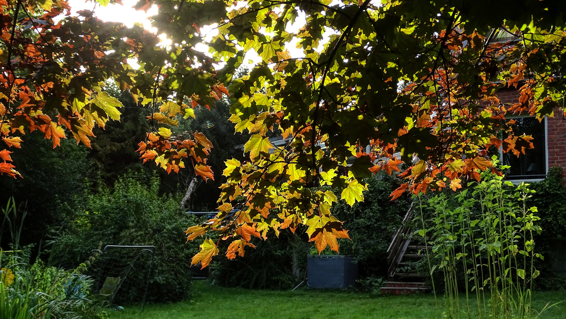 Sonne im Garten