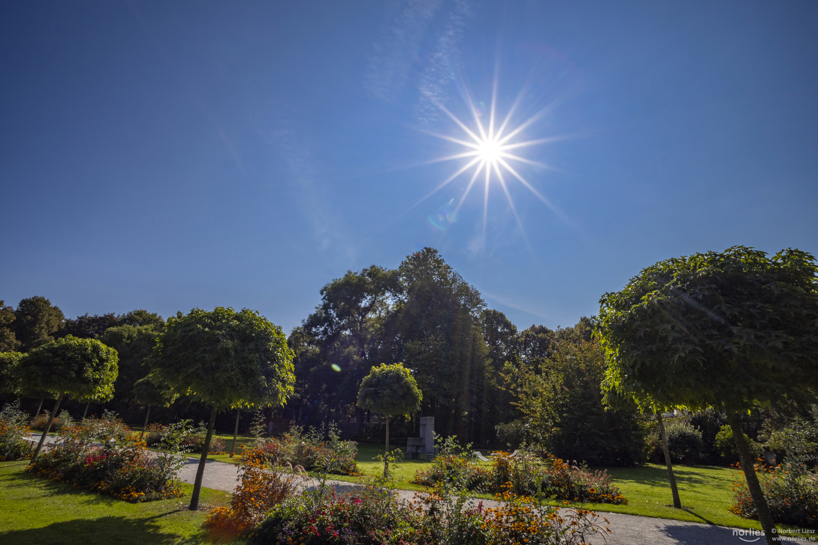 Sonne im Garten Foto & Bild deutschland, europe, bayern Bilder auf