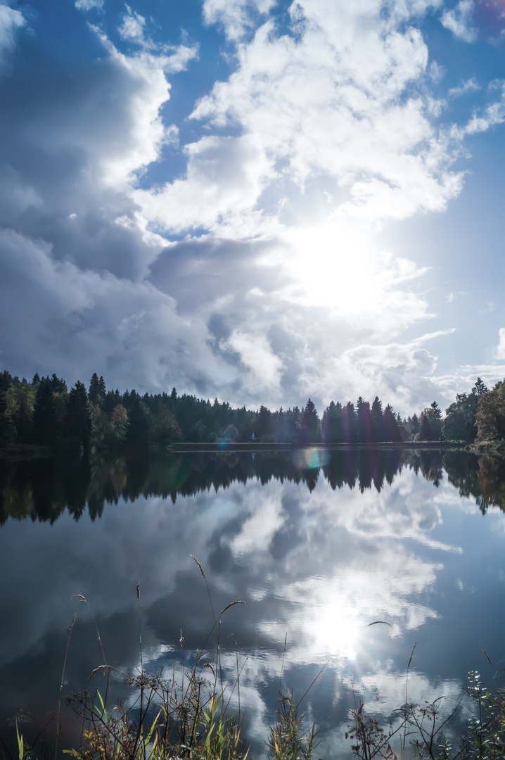 Sonne im Gegenlicht