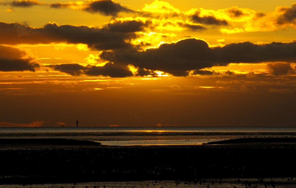 Sonne im grauen November.....Ostfriesland