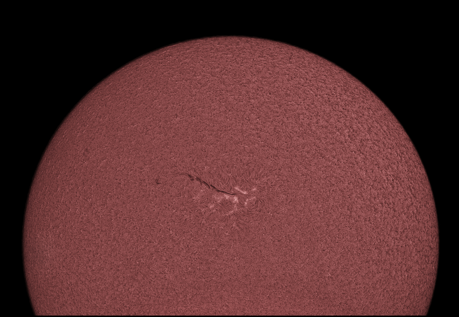 Sonne im H-Alpha am 20.2.2019 12:19 UT