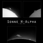 Sonne im H-Alpha Licht