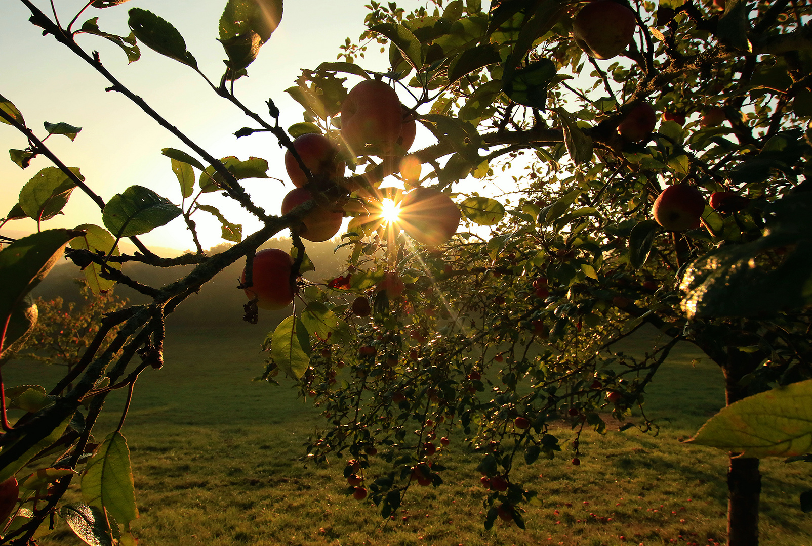 Sonne im Herbst