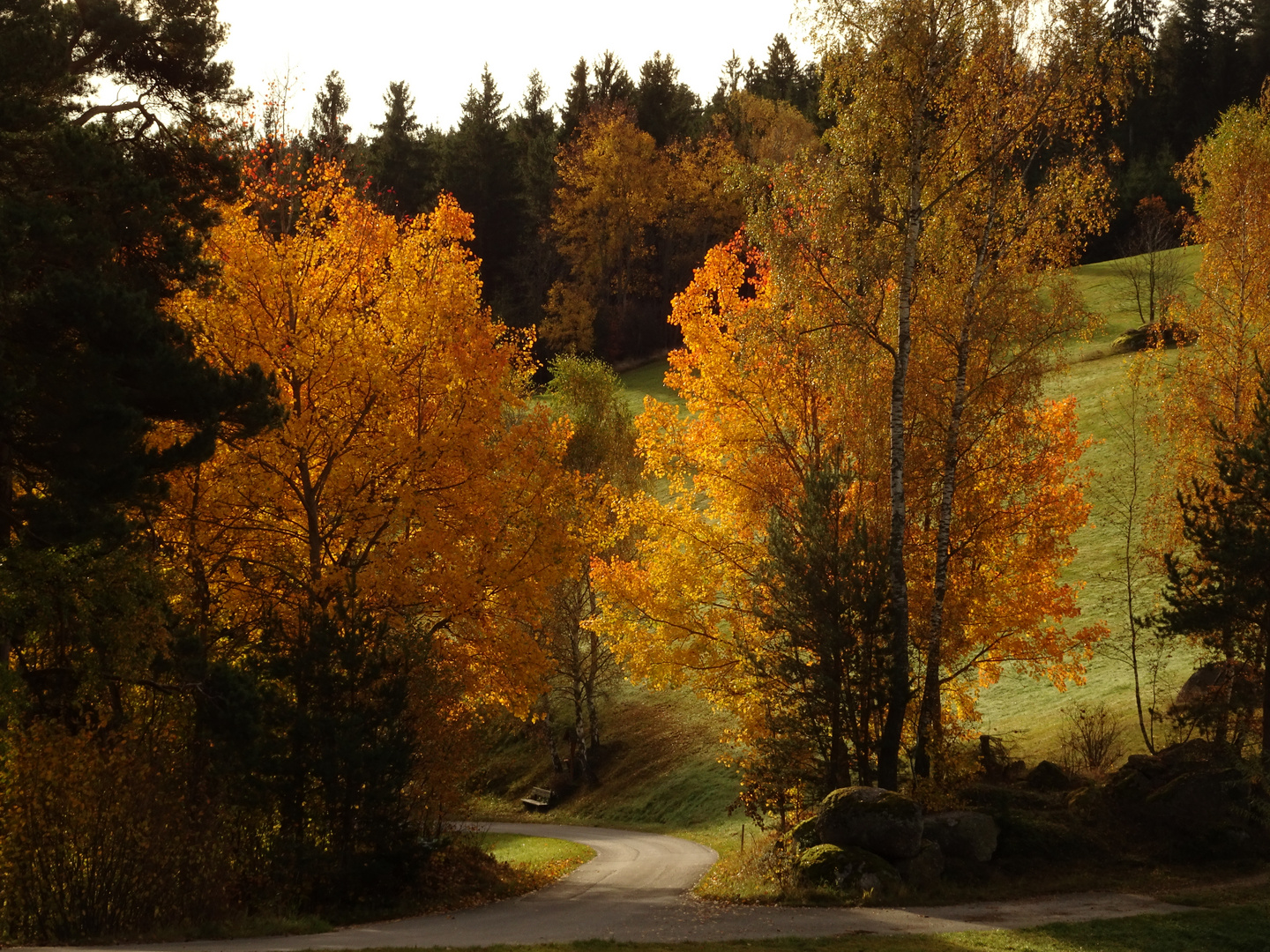 Sonne im Herbst