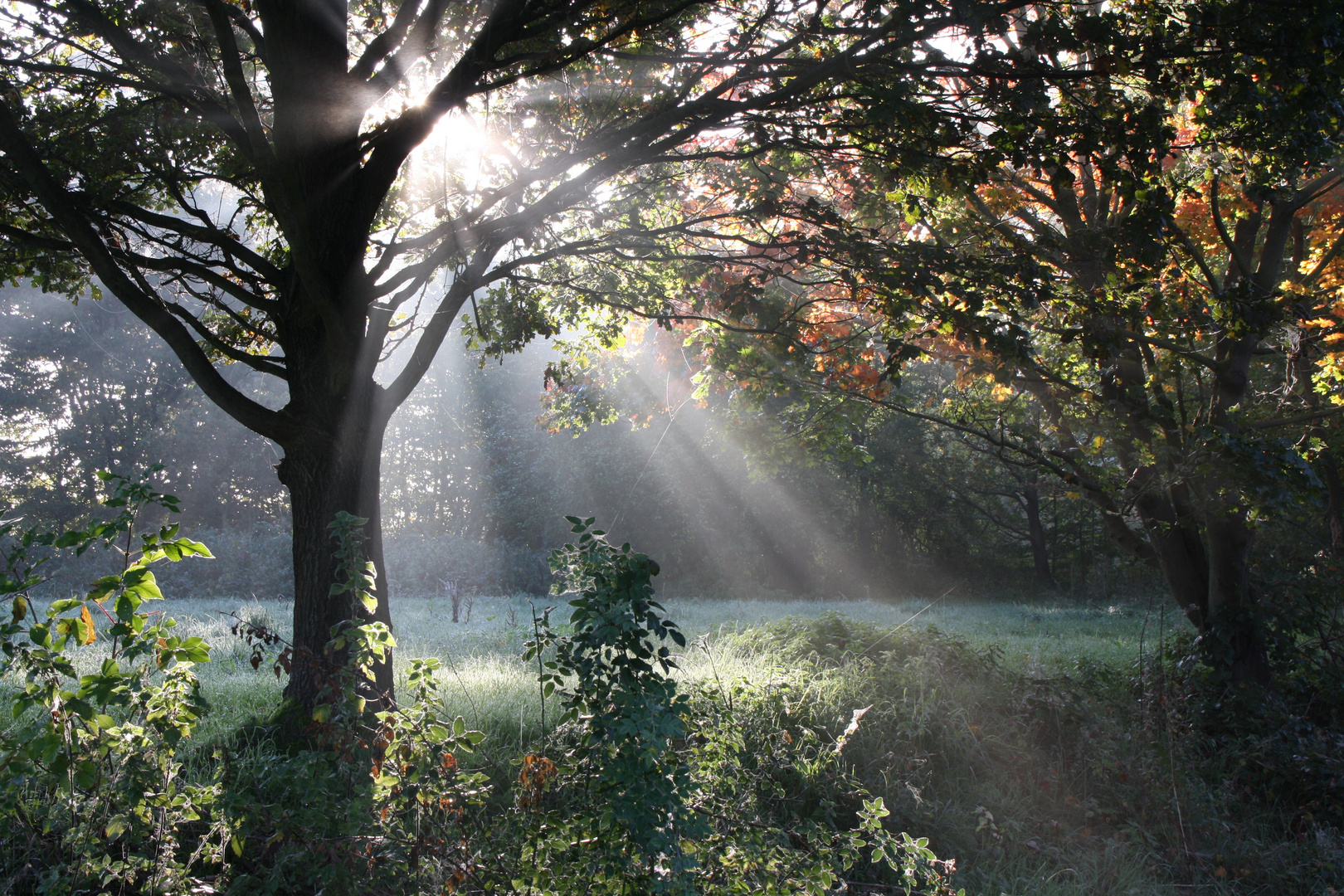 Sonne im Herbst