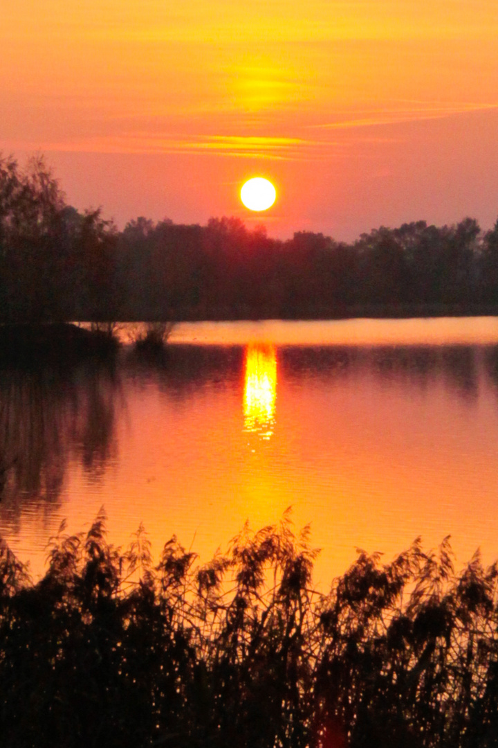 Sonne im Herbst