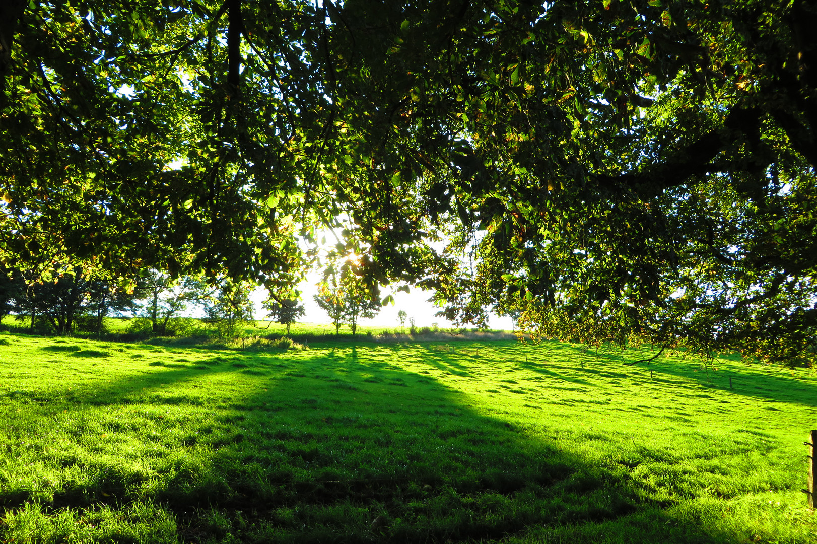 Sonne im Herbst