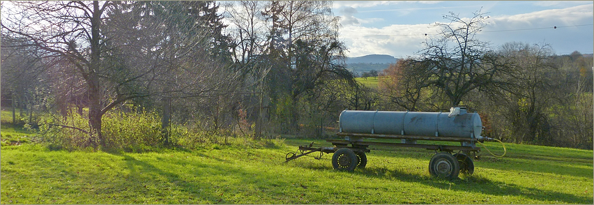 Sonne im Herbst