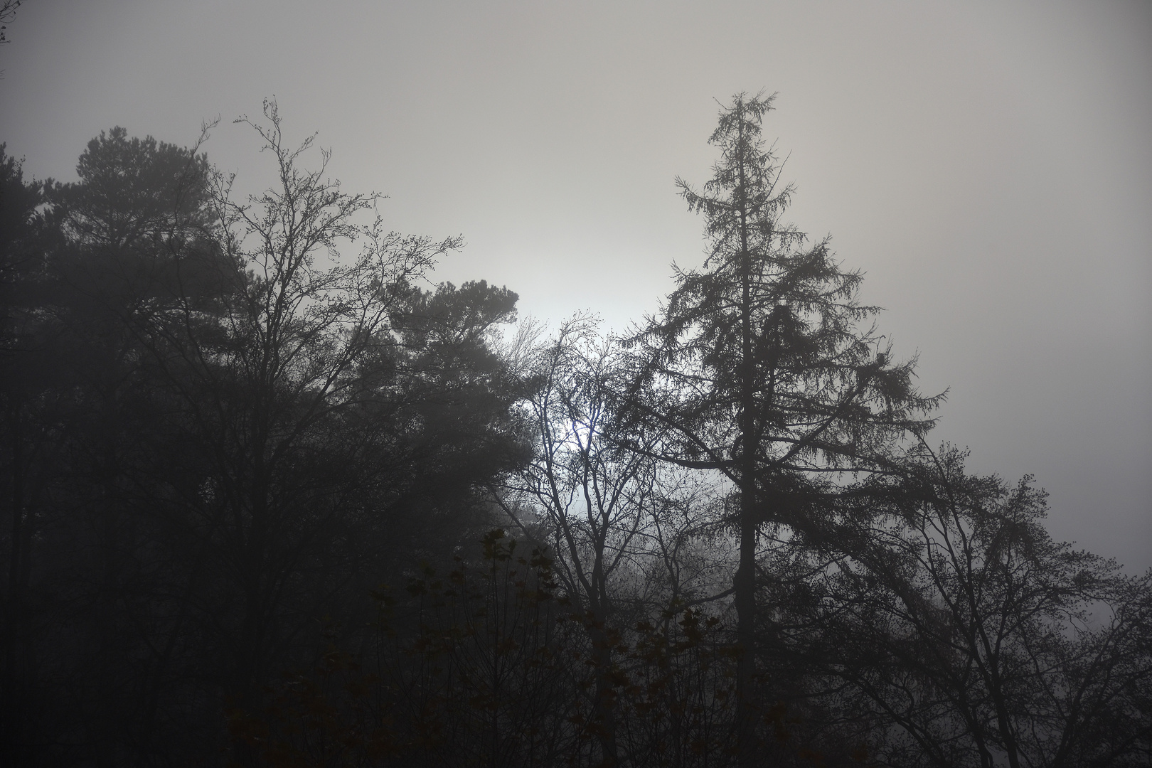 Sonne im herbstlichen Nebel