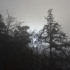 Sonne im herbstlichen Nebel