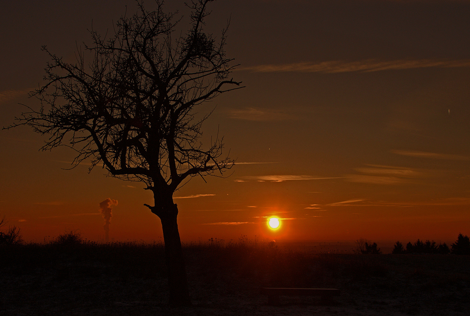 Sonne im Januar...